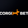 CorgiBet Casino